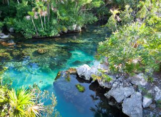Cancun’s Cenotes Register Report-Excessive Contamination Ranges