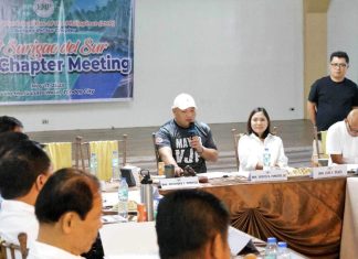 SurSur LMP helps tourism marketing campaign of DOT