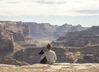 Flying, driving and AirBNBs: Tricks to journey together with your pet this summer season