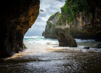 Which Shocking Journey Companies Might Be Present in Tropical Locations?