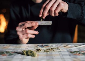 Most Weed-Pleasant Journey Locations within the World Ranked