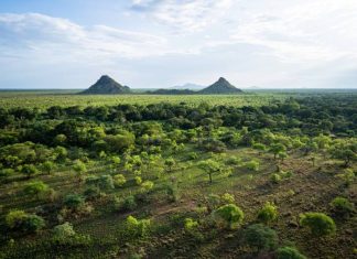On the frontline of wildlife tourism in South Sudan