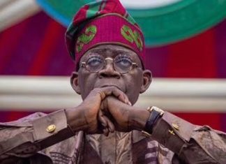 Tourism Ministry: ITPN commends Tinubu, congratulates minister-designate | The Guardian Nigeria News