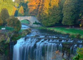Hamilton’s popular fall hiking destinations now require reservations