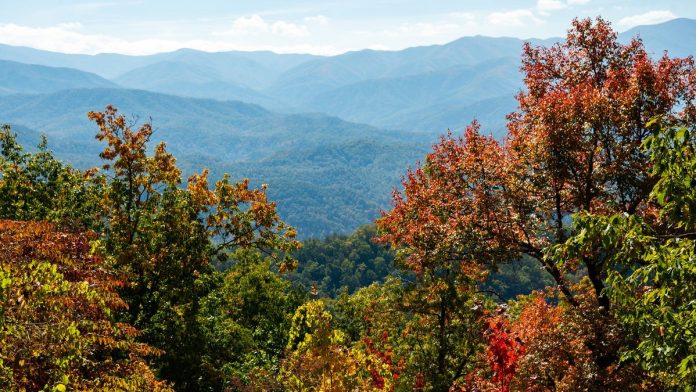 c1f96a7f-18ad-4ec8-8ee4-fdbbba6a5110-KNS_smokies_fall_colors_BP_12.jpg
