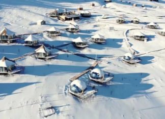 Hospitality leads way as tourism industry recovers