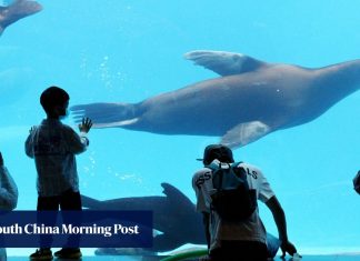 China’s Haichang Ocean Park gets support from Saudi Arabia’s Tourism Development Fund to build marine themed park in kingdom
