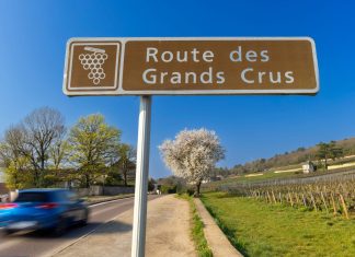 The pros, cons and subsidies of wine tourism in France