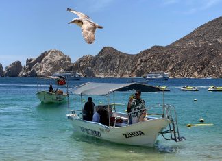 Cancun, Cabo or Puerto Vallarta: Which Mexico resort is best for you?