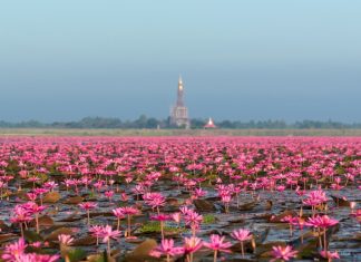 The 8 most budget-friendly destinations to visit in Asia this year