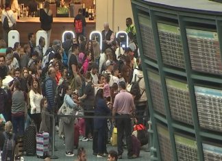 Florida reports record-breaking tourism numbers in 2023 – WFTV