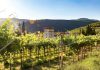 Trekking, lakes and nature: 10 Italian destinations for a cooler summer | inItaly | Ambasciatori del Territorio