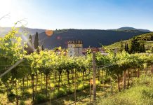 Trekking, lakes and nature: 10 Italian destinations for a cooler summer | inItaly | Ambasciatori del Territorio