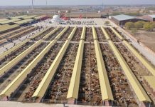 Hinggan League Agricultural, Cultural and Tourism Consumption Carnival Opens in Beijing