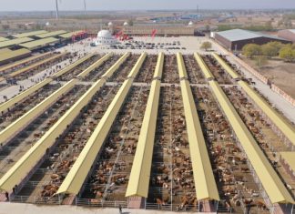 Hinggan League Agricultural, Cultural and Tourism Consumption Carnival Opens in Beijing
