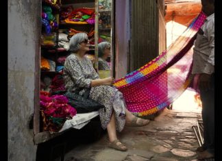 Zeenat Aman Travel Tips: Zeenat Aman says, “I’d rather wander into a market, find something lovely for someone I care about, sit in the sunshine”, as she takes a day off to Jaipur; shares pro tip for travellers